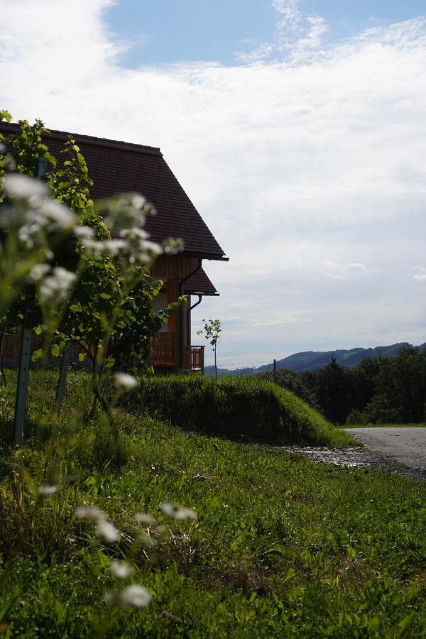 Bauernhof Gschmeidler Sankt Johann im Saggautal Kültér fotó